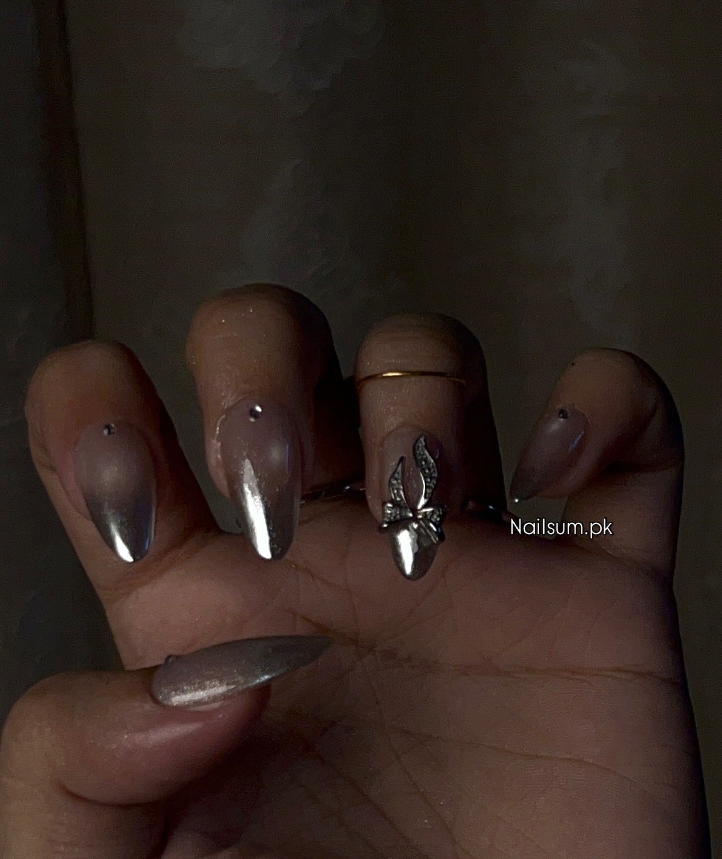 SILVER TIPS